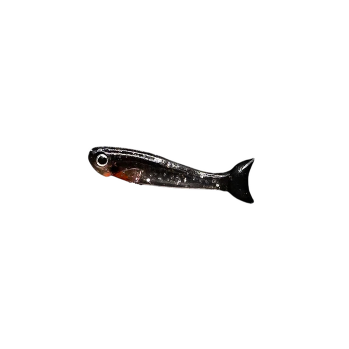 BLEEDING MULLET