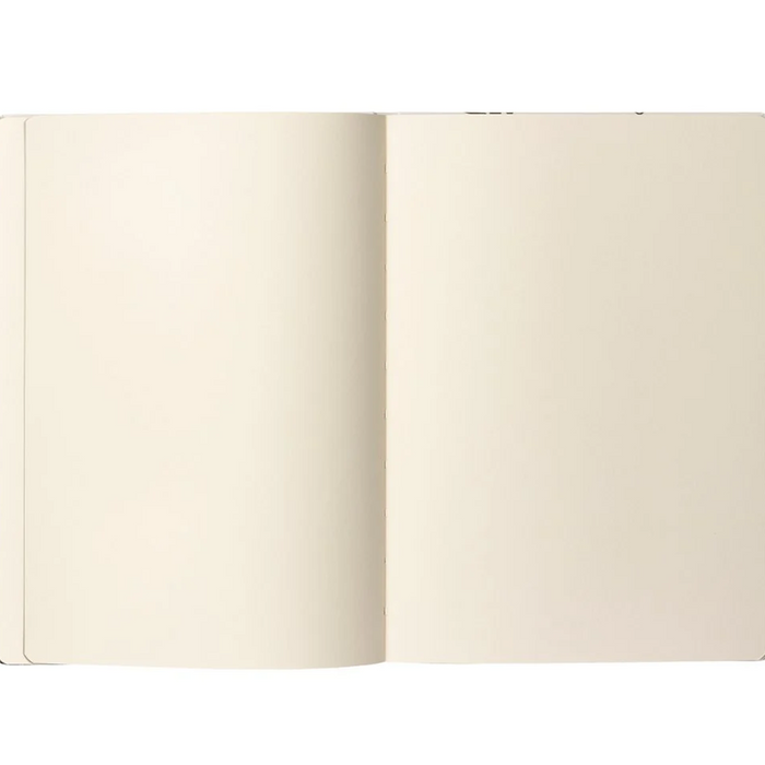 Caran D'Ache RYLSEE Sketchbook,