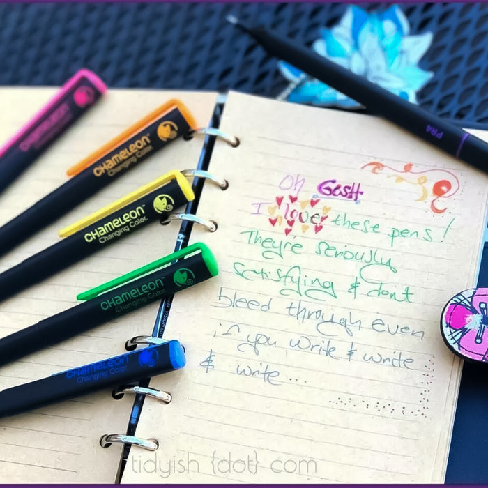 Chameleon Fineliners Bright Colors