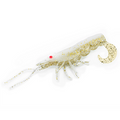 CHASEBAITS CURLY PRAWN [SZ:60MM CLR:01 MILK FLASH]