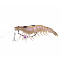180MM 49G / 01 JELLY PRAWN