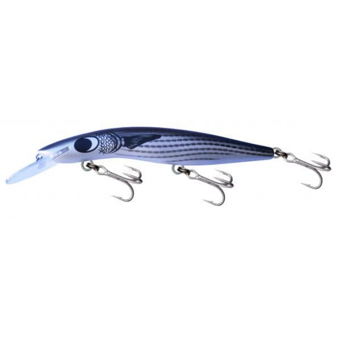 CLASSIC BARRA 120MM +15 [CLR:51 DIAMOND SCALE MULLET]