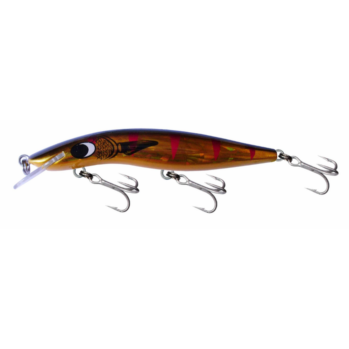 12 MULLET GOLD DAZZLER