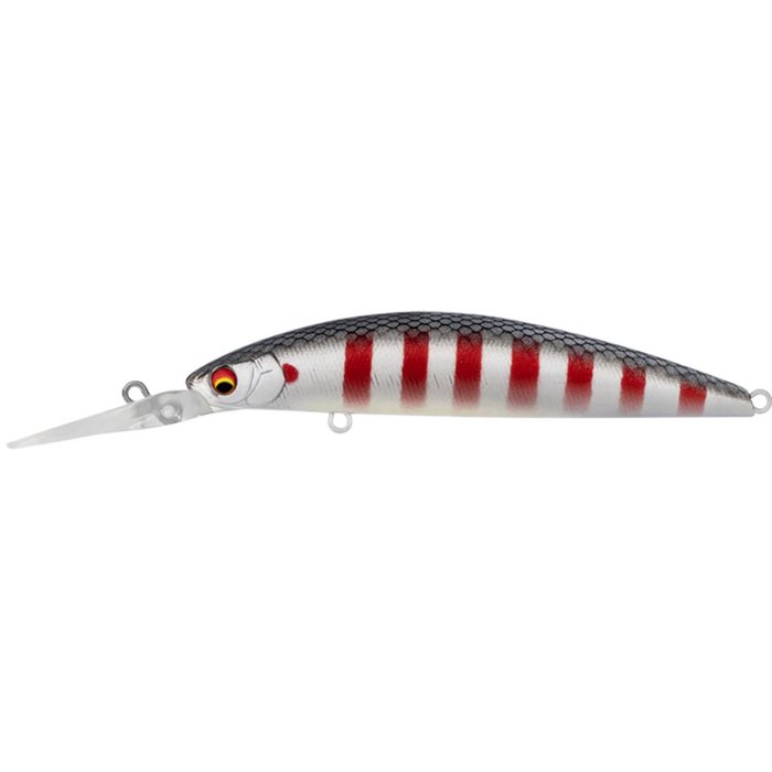 BLEEDING MULLET