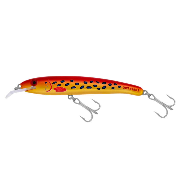 6M / R9 CORAL TROUT