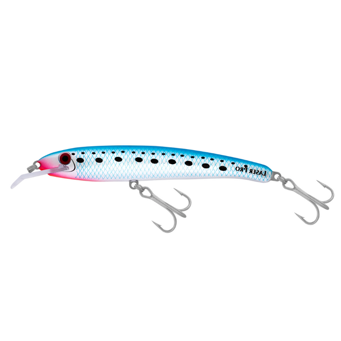 2M / H50 PILCHARD