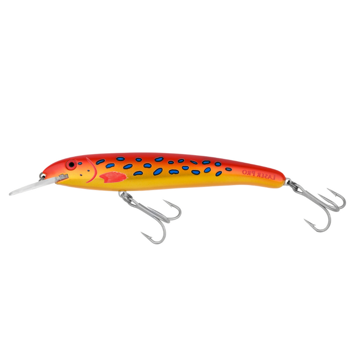6M / R9 CORAL TROUT