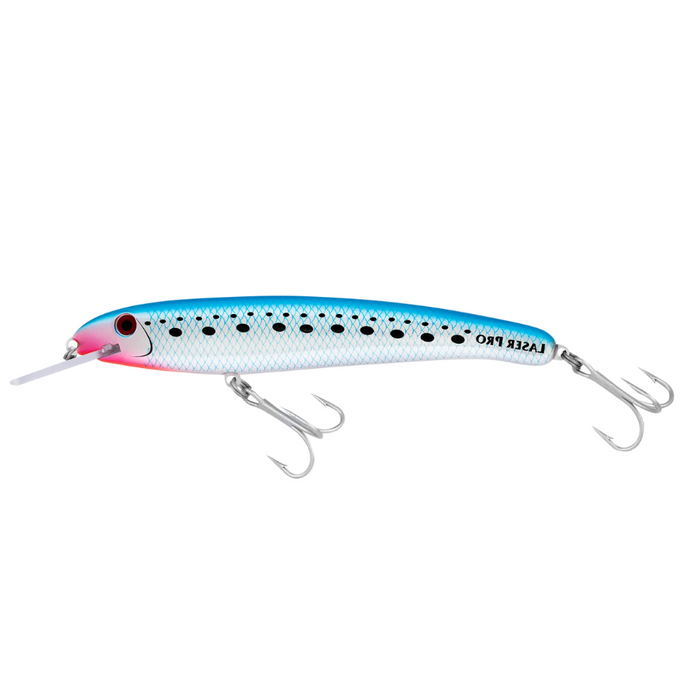2M / H50 PILCHARD