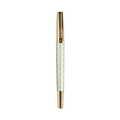 Hero HS210 Fountain Pen