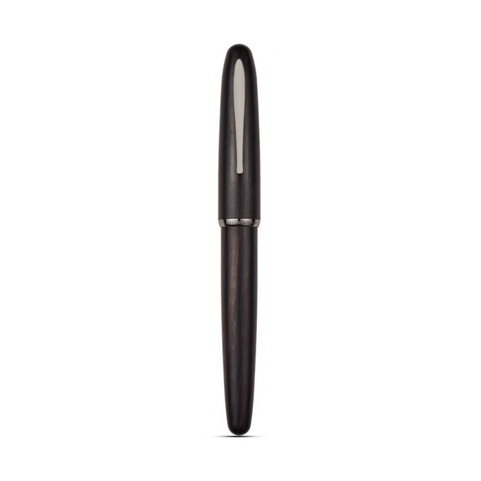 Hongdian 660 Fountain Pen