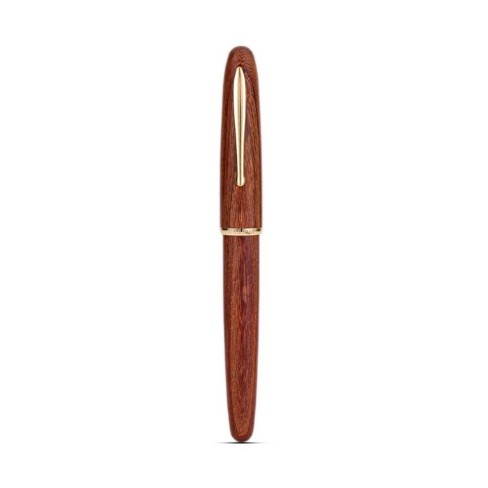Hongdian 660 Fountain Pen