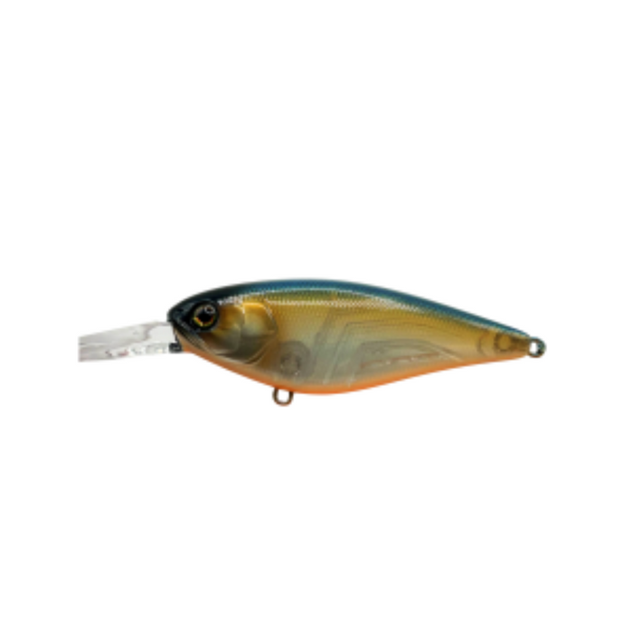 SARDINE