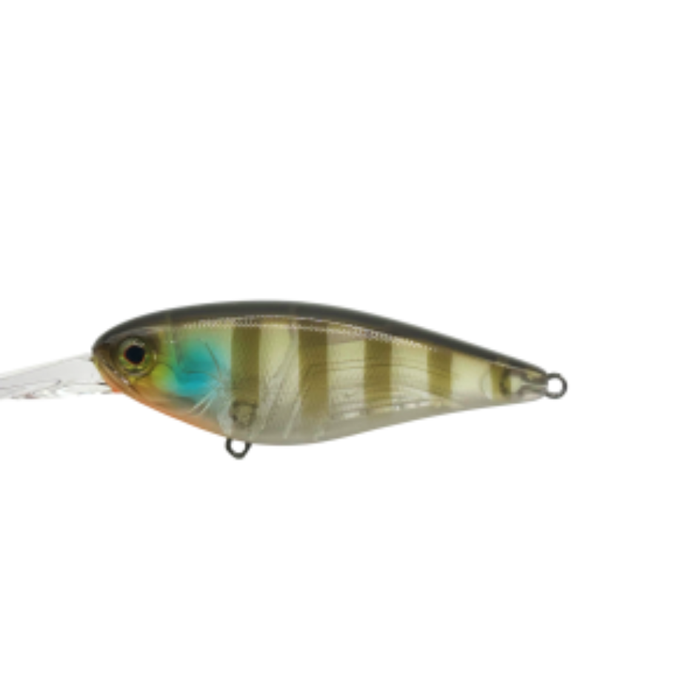 GHOST GILL