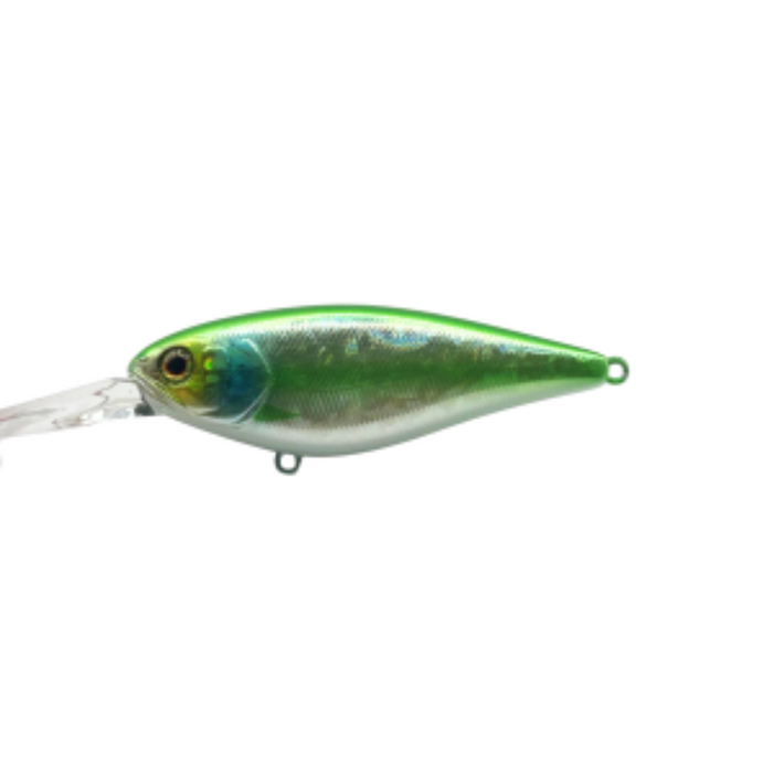 ELECTRIC BLUEGILL