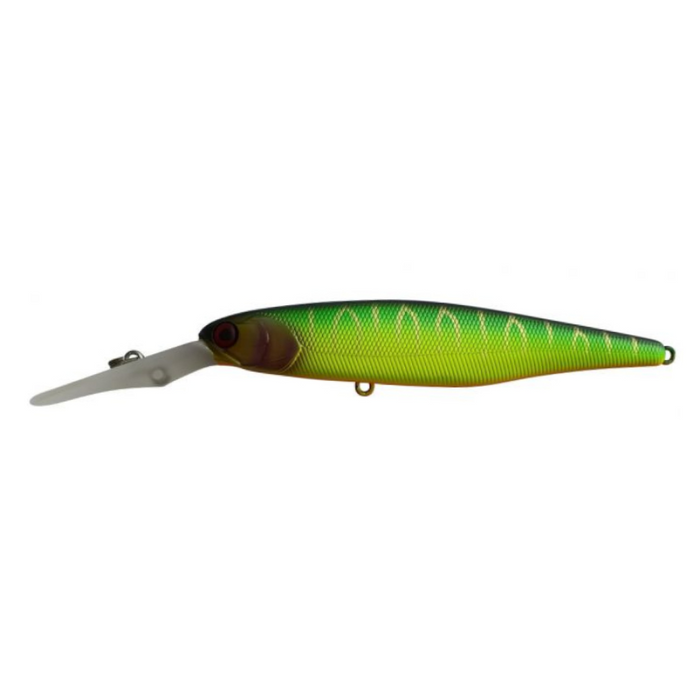 GULF SHAD