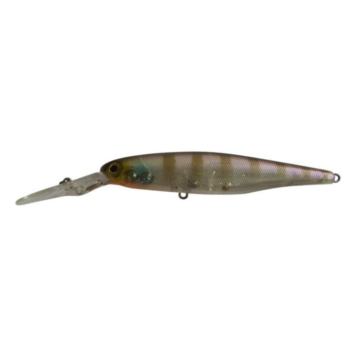 GHOST GILL