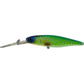 BLUE BACK CHATREUSE