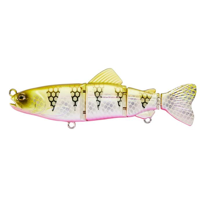 LIVE NATIVE CHELLA SWIM 165 [CLR:FUDGE]