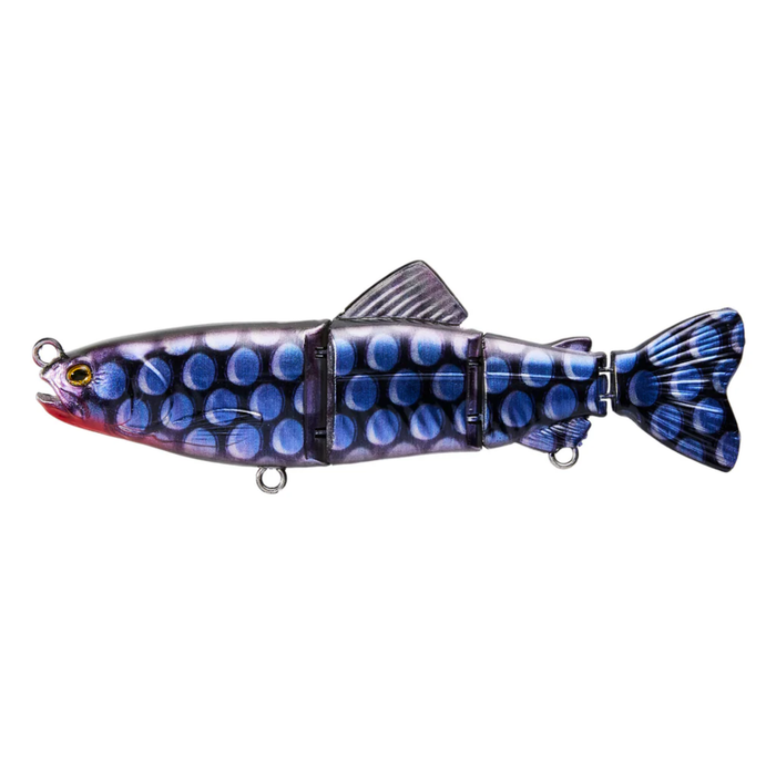 LIVE NATIVE CHELLA SWIM 165 [CLR:PSCALE]