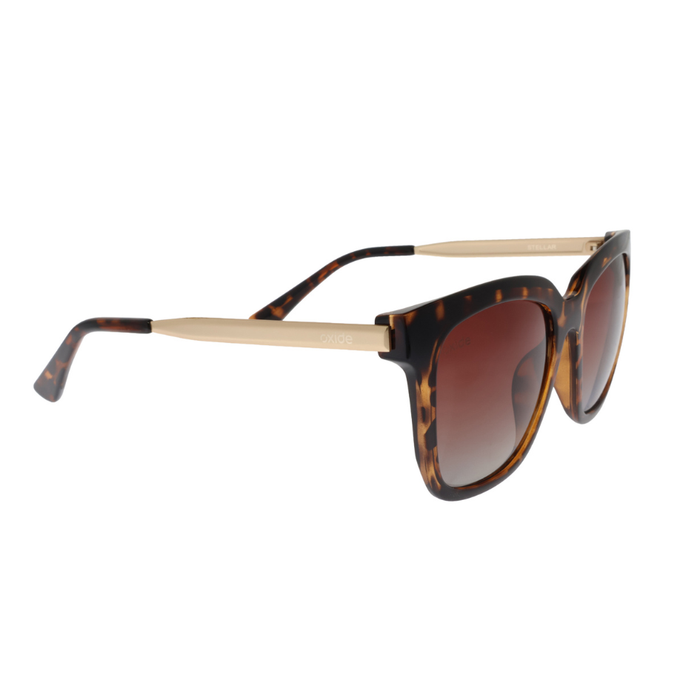 OXIDE EYEWEAR STELLAR [FRAME:TORTOISESHELL LENS:GRADIENT BROWN]