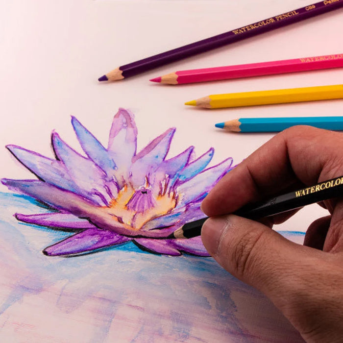 Pentel  Water Color Pencils Set