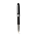 Platinum Plaisir Fountain Pen Medium