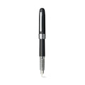 Platinum Plaisir Fountain Pen