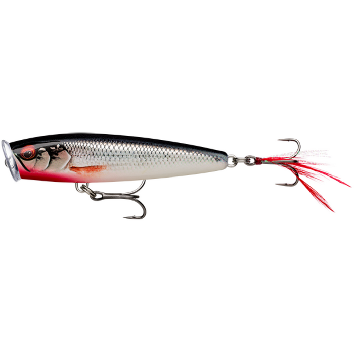 7.5CM / GILDED LIVE ROACH