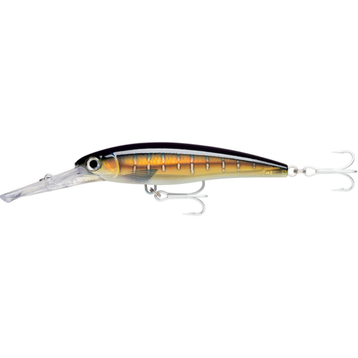 16CM 30FT / HD SAILFISH UV