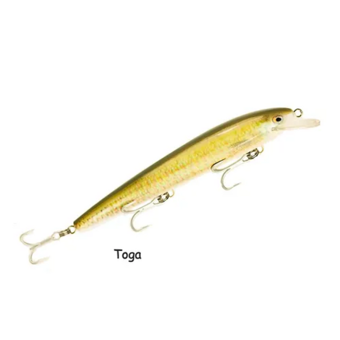 RAPTOR LURES DOMINATOR 7" LIVE SERIES [CLR:TOGA]