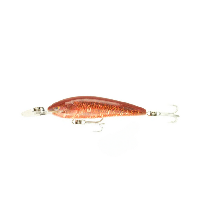 MANGROVE JACK
