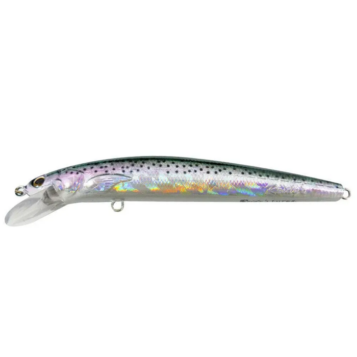 REIDYS B52 [CLR:H-COHO]