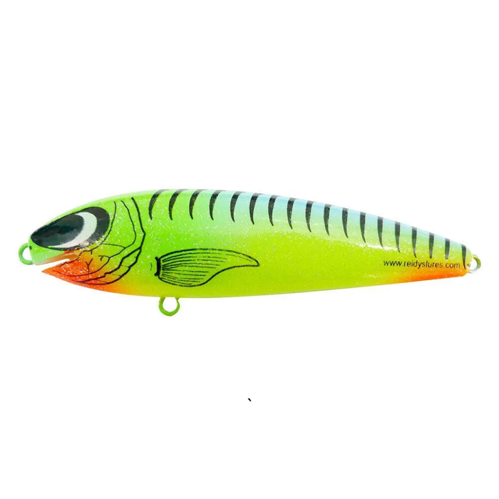 REIDYS TAIPAN [SZ:3M CLR:CJ]