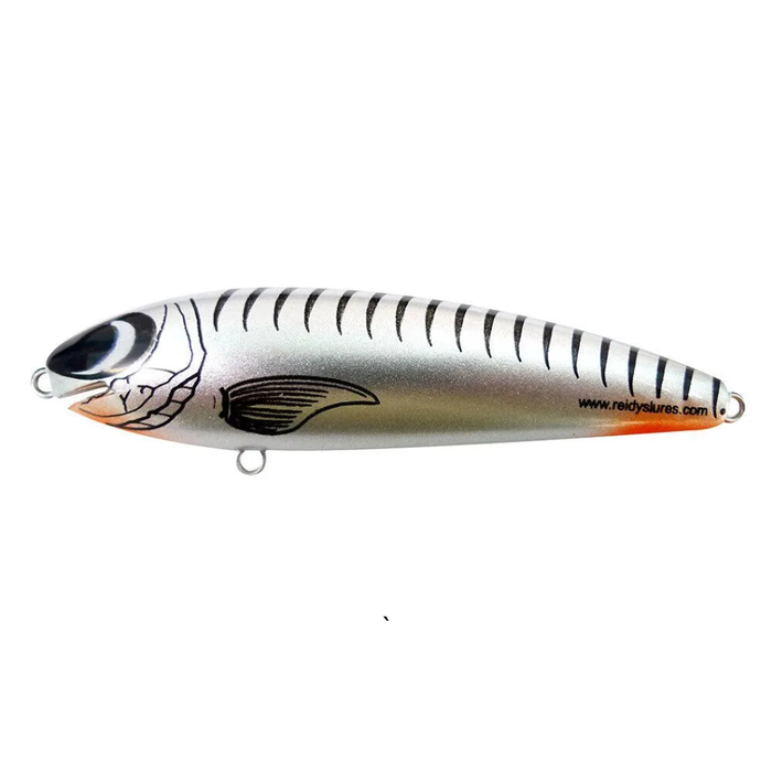 REIDYS TAIPAN [SZ:2M CLR:S]