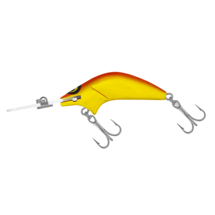 R11 GOLD ORANGE BACK
