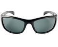 SPOTTERS SUNGLASSES ARTIC+ GLOSS BLACK [LENS:CARBON]