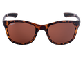 SPOTTERS SUNGLASSES JADE TORTOISE [LENS:HALIDE]
